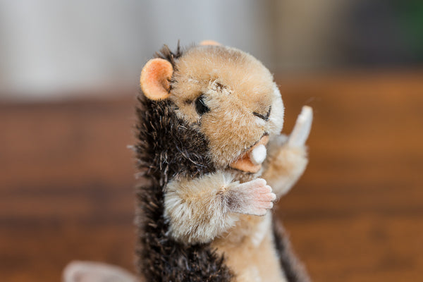 Steiff Nagy Beaver