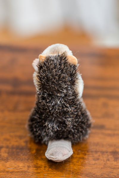Steiff Nagy Beaver