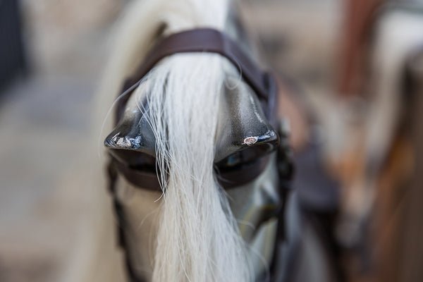Rocking Horse