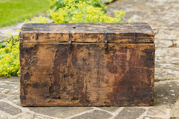 Tibetan Trunk
