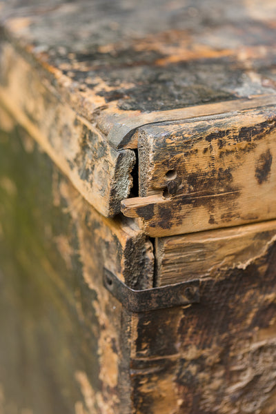 Tibetan Trunk