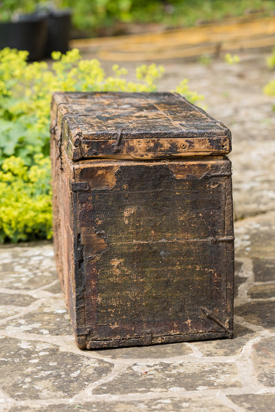 Tibetan Trunk