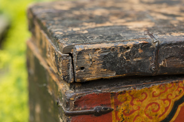 Tibetan Trunk