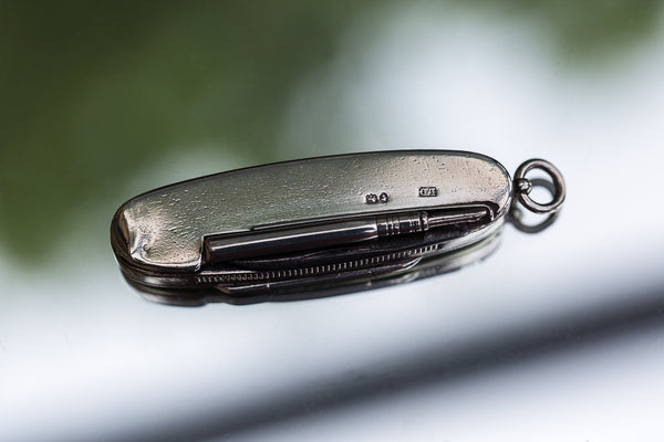 Offbeat Interiors - Victorian Silver Combination Vesta Case
