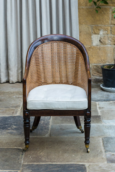 George iV Simulated Rosewood Library Bergere Chair