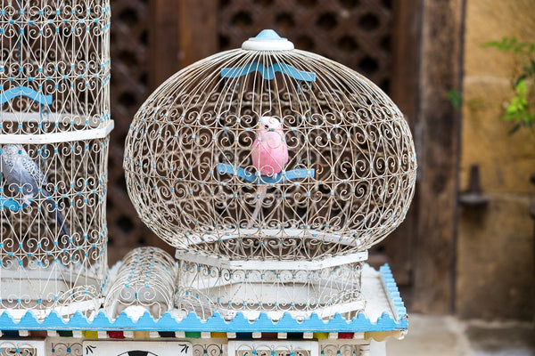 Offbeat Interiors - Decorative Eastern Bird Cage