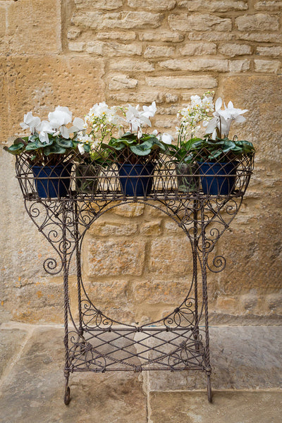 Offbeat Interiors - Victorian Wirework Plant Stand